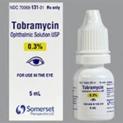 Tobramycin Drops